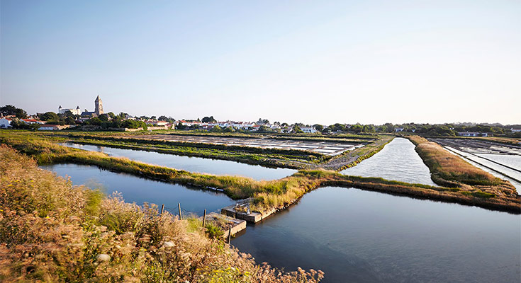 marais salants à Noirmoutier