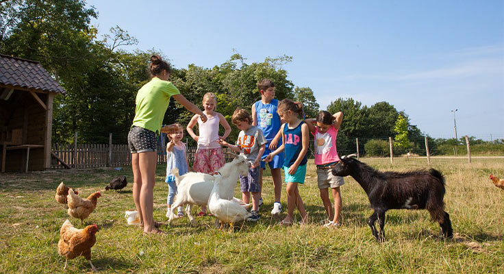 le club enfants du camping visite la ferme pédagogique du camping avec une animatrice