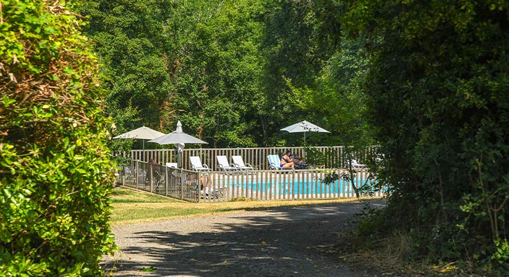 cadre naturel exceptionnel autour de la piscine de plein air du Château la Foret