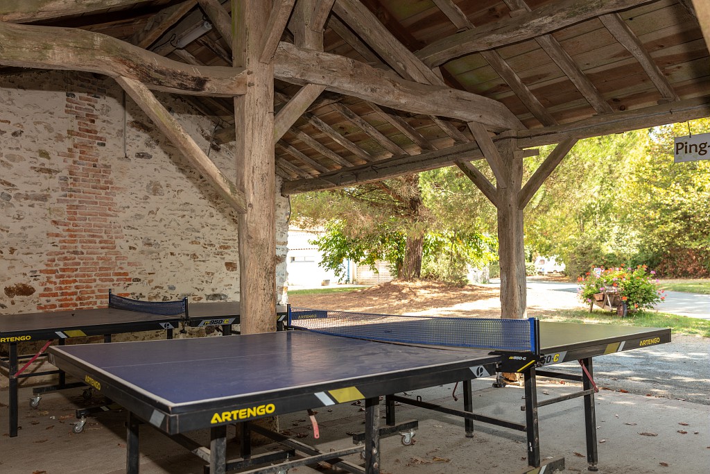 Table de tennis de table